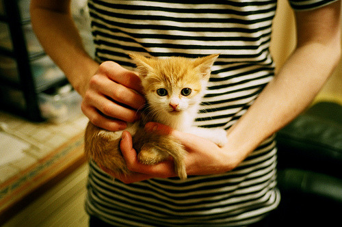 CBA球员技艺精湛，赛场上的精彩瞬间感动全场，cba职业球员