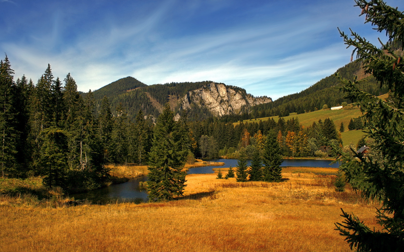 南特队主场平局，球队实力有待提升，南特队主帅