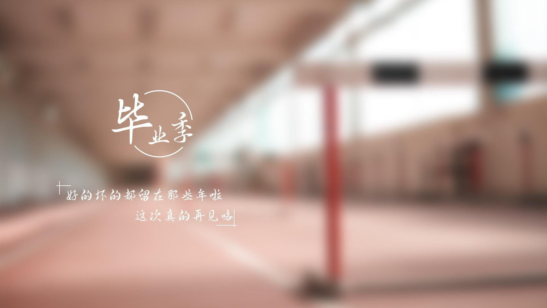 Leyu Sport下载-女足联赛关注度持续上升，女足上热搜