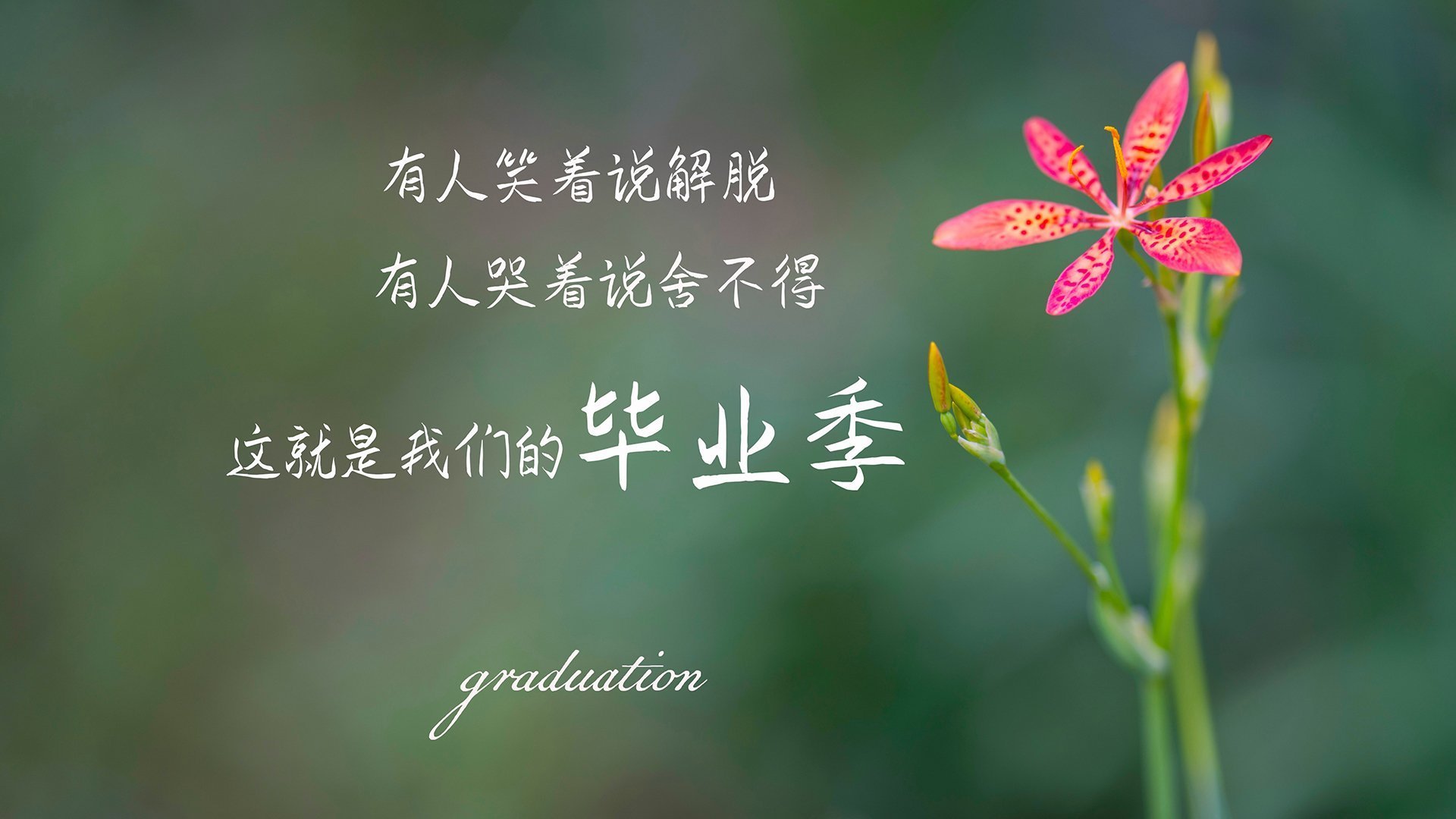曼城俱乐部新援表现出色，助球队获得胜利，曼城俱乐部名单