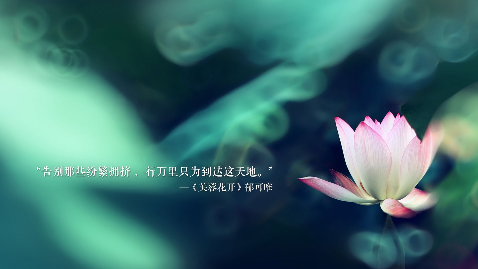 球队在比赛中展现出强大的团队合作精神，比赛中团队合作的重要