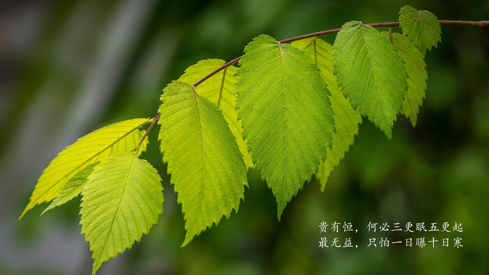 leyu乐鱼体育综合-皇马遭遇三连败，积分榜排名继续下滑，皇马 评分
