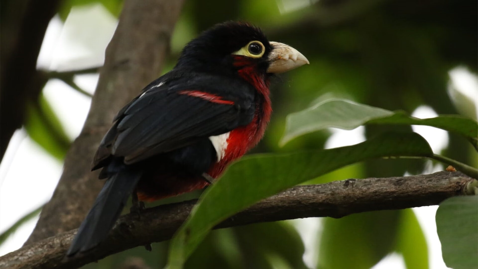 场上心理抗压能力有较大提升，抗压能力和心理素质