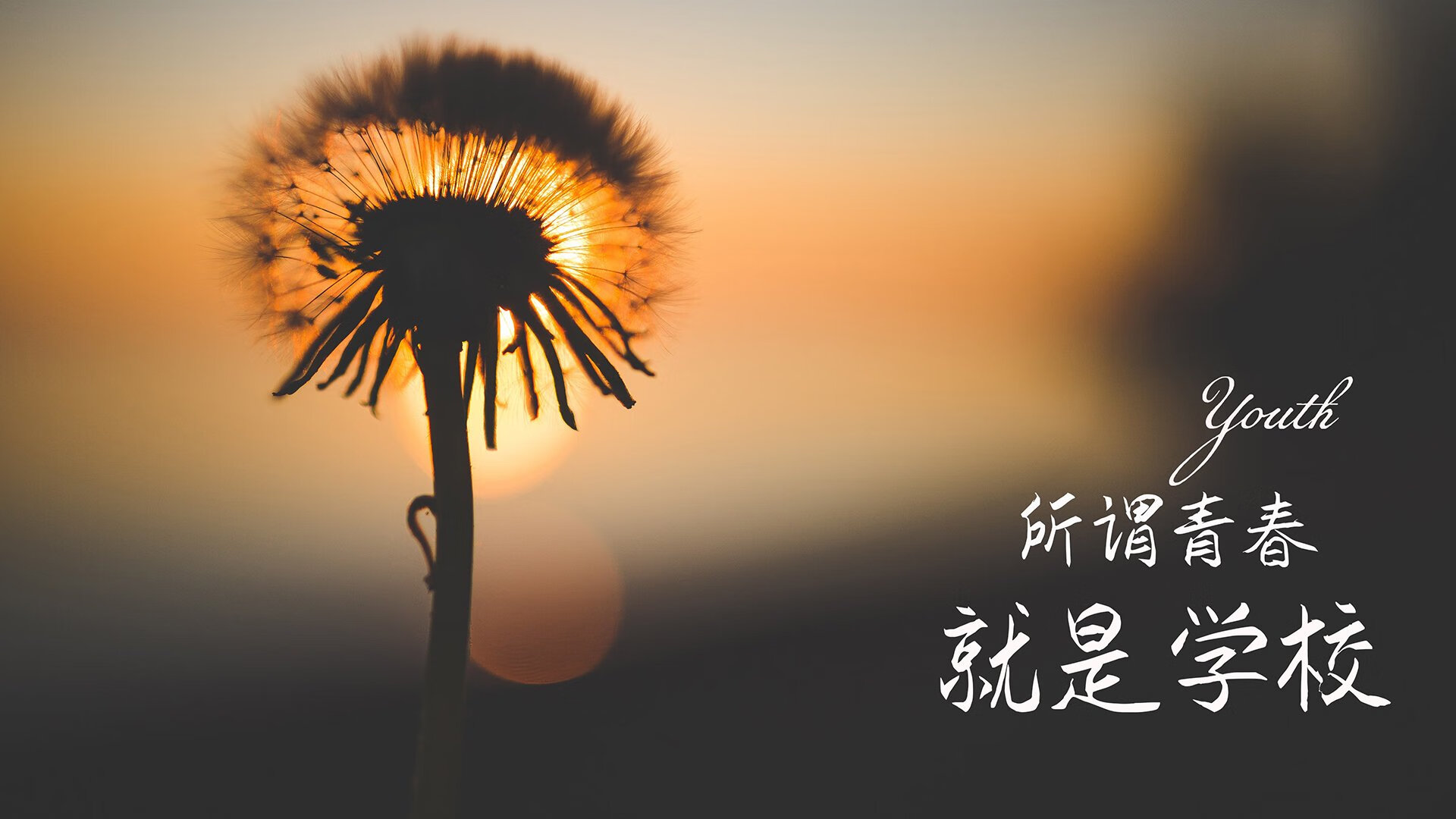 山东吉马积极引援季后赛前景被看好，吉马有限公司