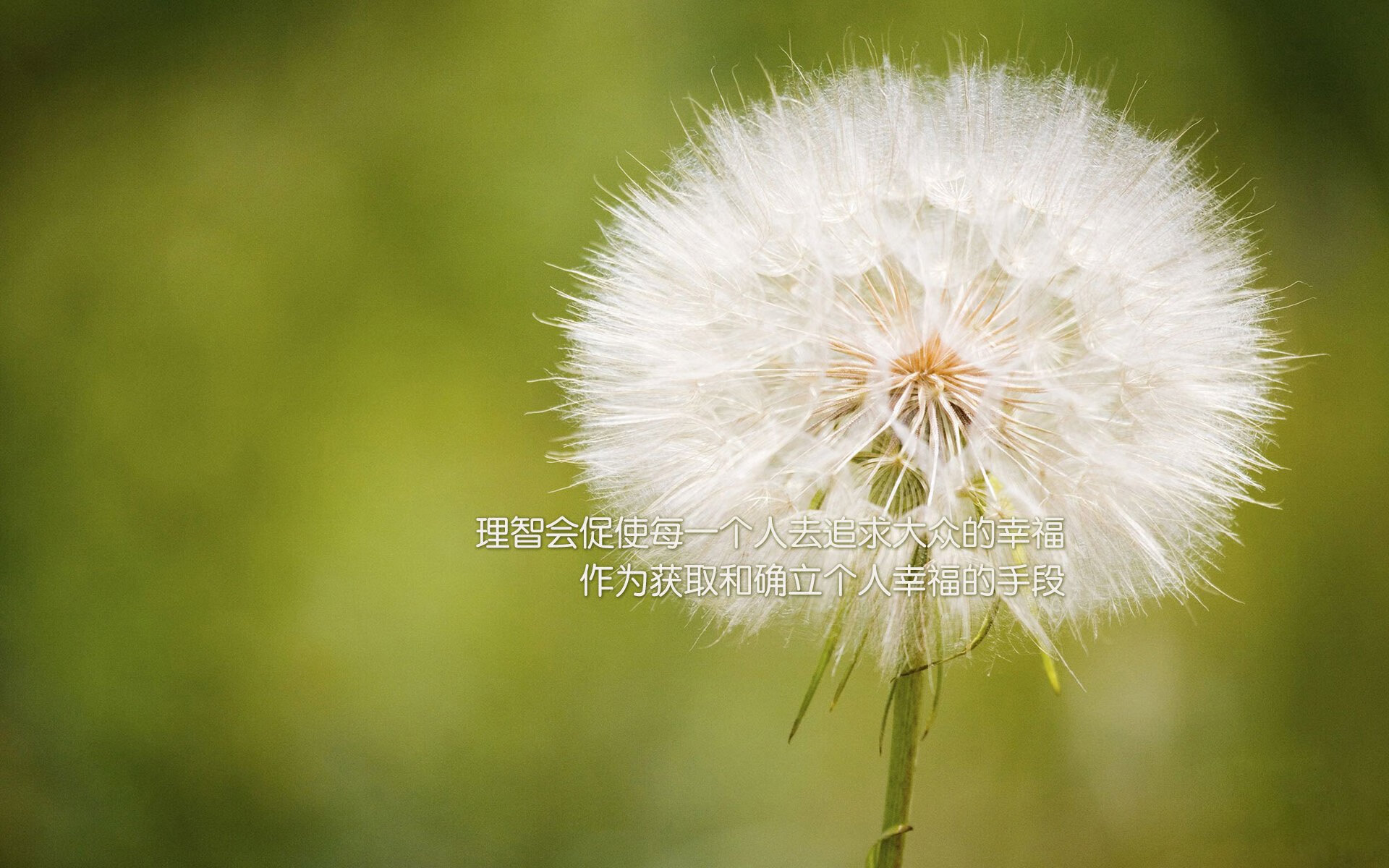 青训营地设施条件是否影响训练质量，青训营多长时间
