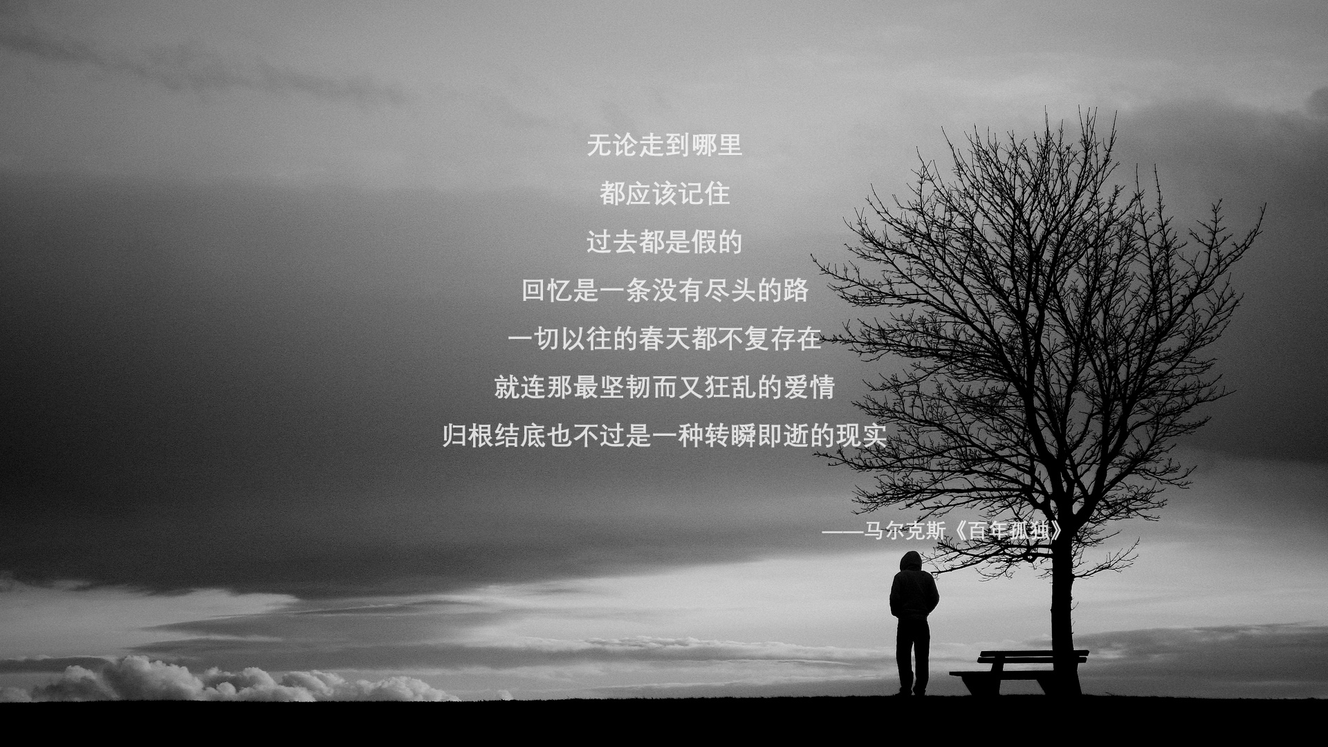 法甲闪耀瞬间：冠军级的战术解读，法甲冠军怎么算