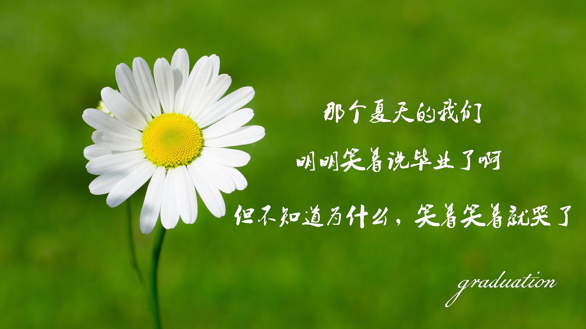 leyu乐鱼在线登录入口-美洲杯超级逆转：绝望中擦出奇迹火花，美洲杯专题